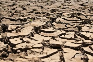 Europa en Crisis: Cumbre de Emergencia por Sequía Extrema